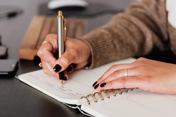 Proceso de formación
